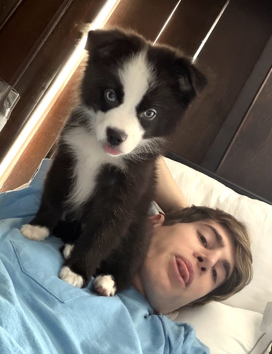 Charlie standing on Fluffy’s chest for a morning selfie
